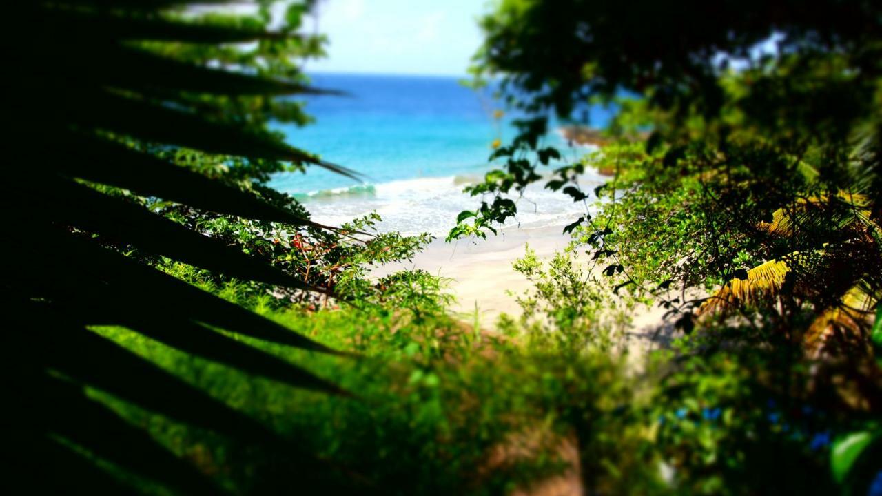 Bacolet Beach Club Scarborough Eksteriør billede